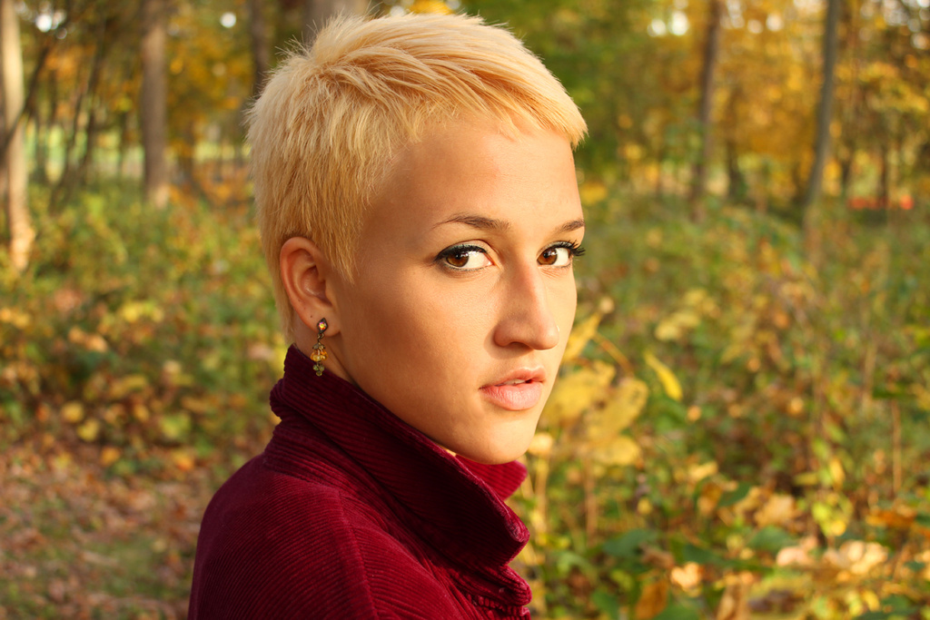 free music archive ann alee free music archive ann alee
