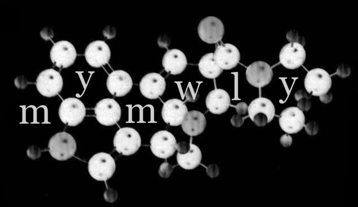 Music Your Mind Will Love You